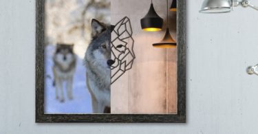 Wolf Framed Poster