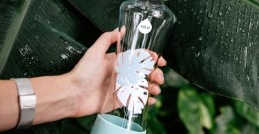 EQUA Glass Water Bottle Monstera