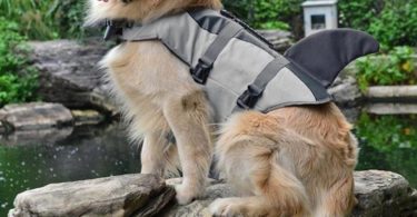 Shark Dog Life Jacket