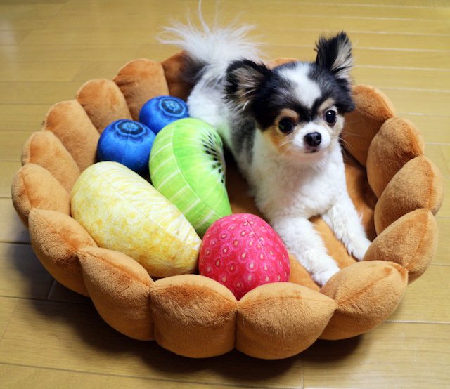 Fruit Tart Pet Bed