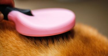 DELE Dog & Cat Brush for Grooming Short or Long Hair