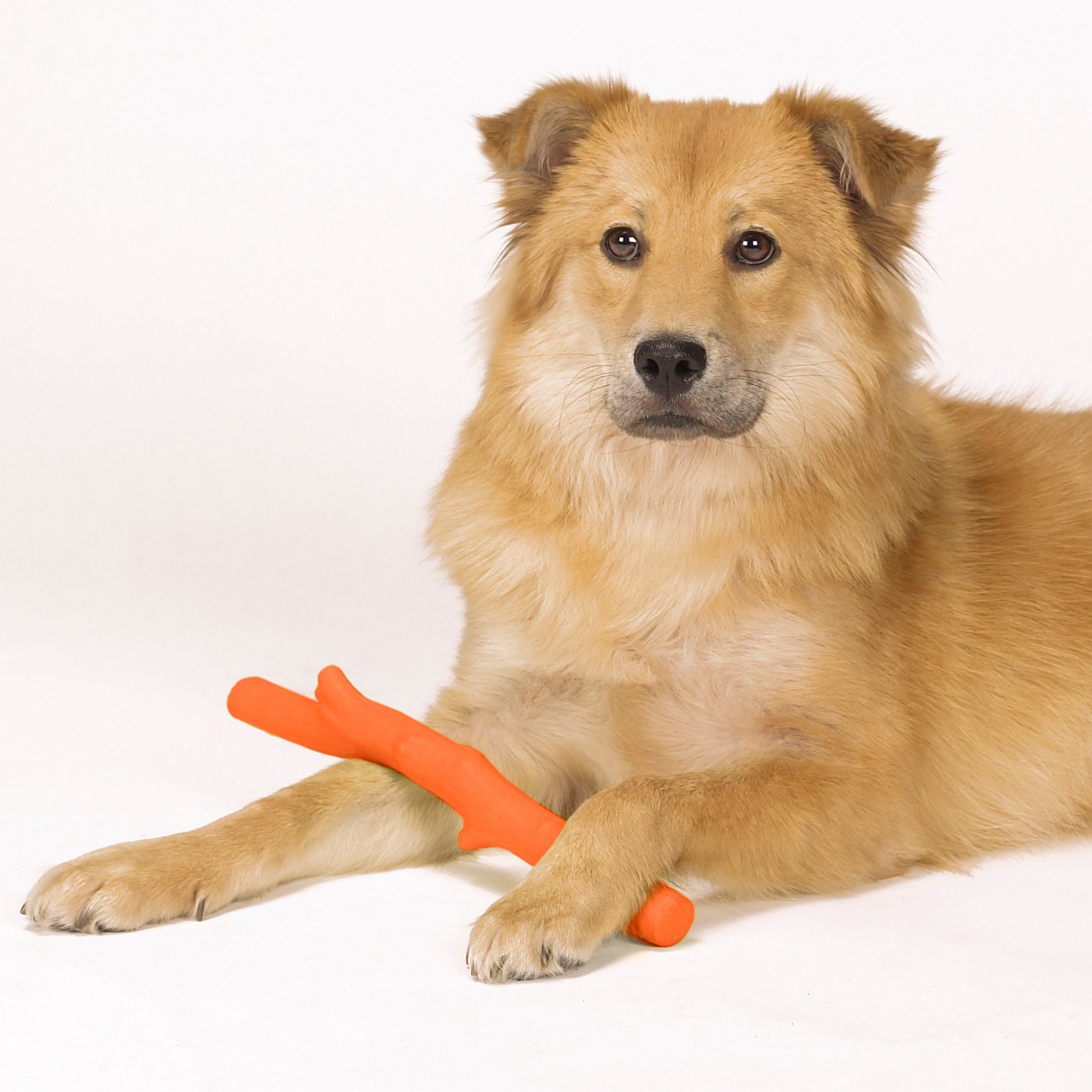 Grriggles Rubber Stick Flying Disc