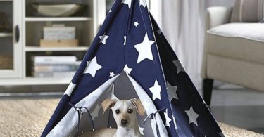 Stars Pet Teepee