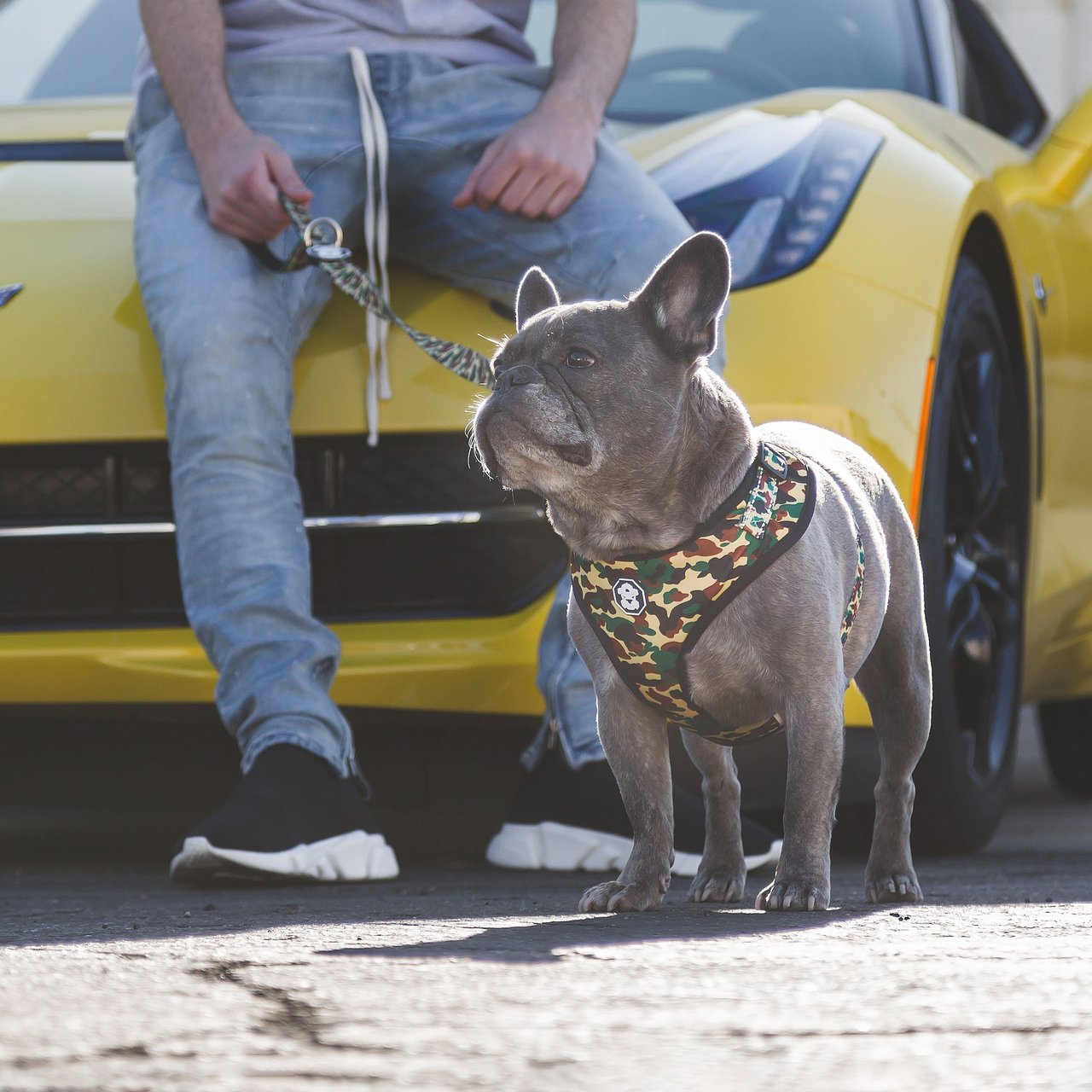 The Hype Camo Adjustable Mesh Harness