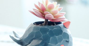 Succulent Pot Cute Animal Shaped Cartoon