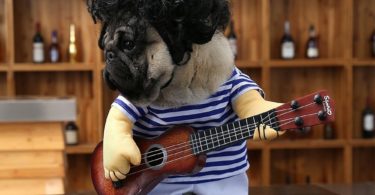 Pet Guitar Costume