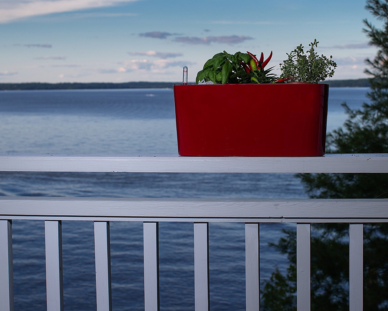 Self Watering Modena Windowsill Planter