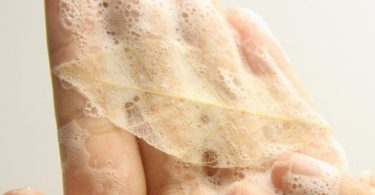 Leaves Soap