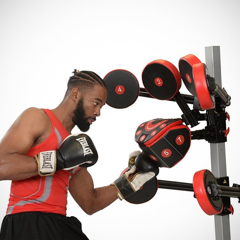 FightMaster Boxing Trainer