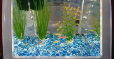 iMacquarium