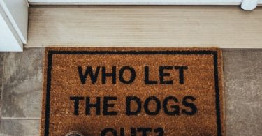 Who Let The Dogs Out? Doormat