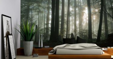 Foggy Forest Wall Mural