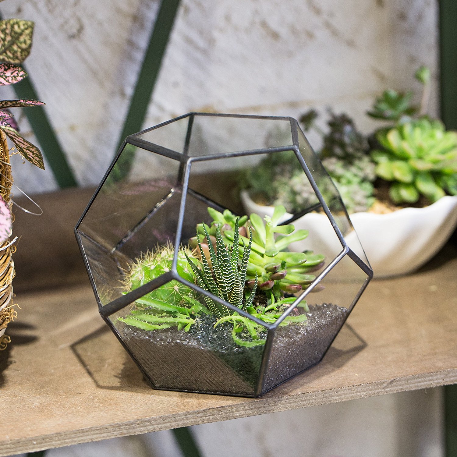 Modern Tabletop Black Glass Geometric Terrarium