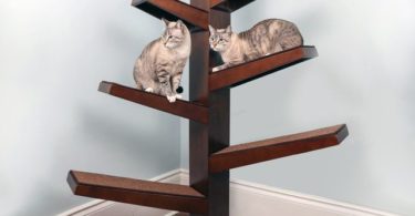 Catalpa Cat Tree