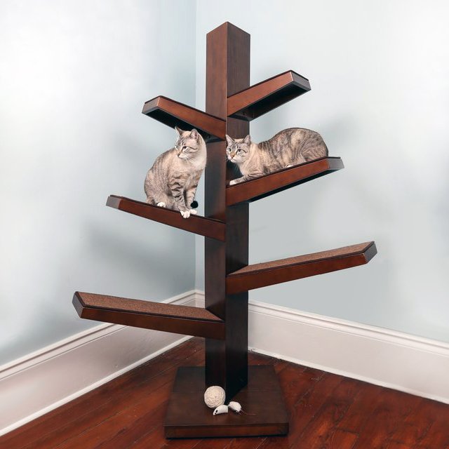 Catalpa Cat Tree