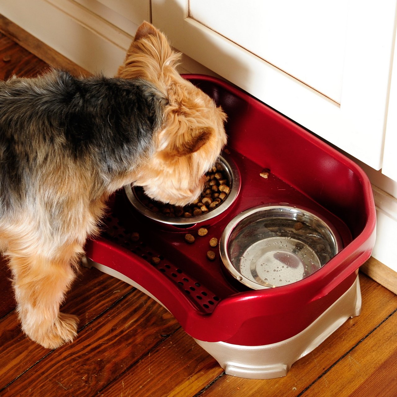 Neater Feeder Mess Proof Pet Feeders