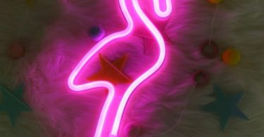 DELICORE Neon Flamingo Indoor Decorative Night Light