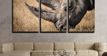 Rhino with Giant Horn on the Grassland – Modern Home Decor