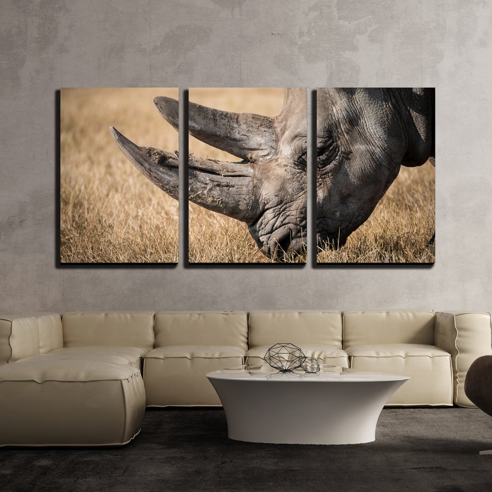 Rhino with Giant Horn on the Grassland – Modern Home Decor