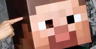 Amazing Minecraft Steve Cardboard Head