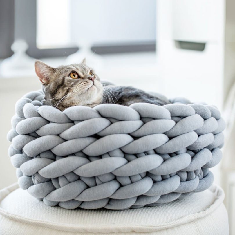 Ohhio Braid Cat Bed