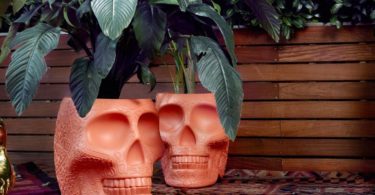 Mexico Skull Planter Champagne Cooler