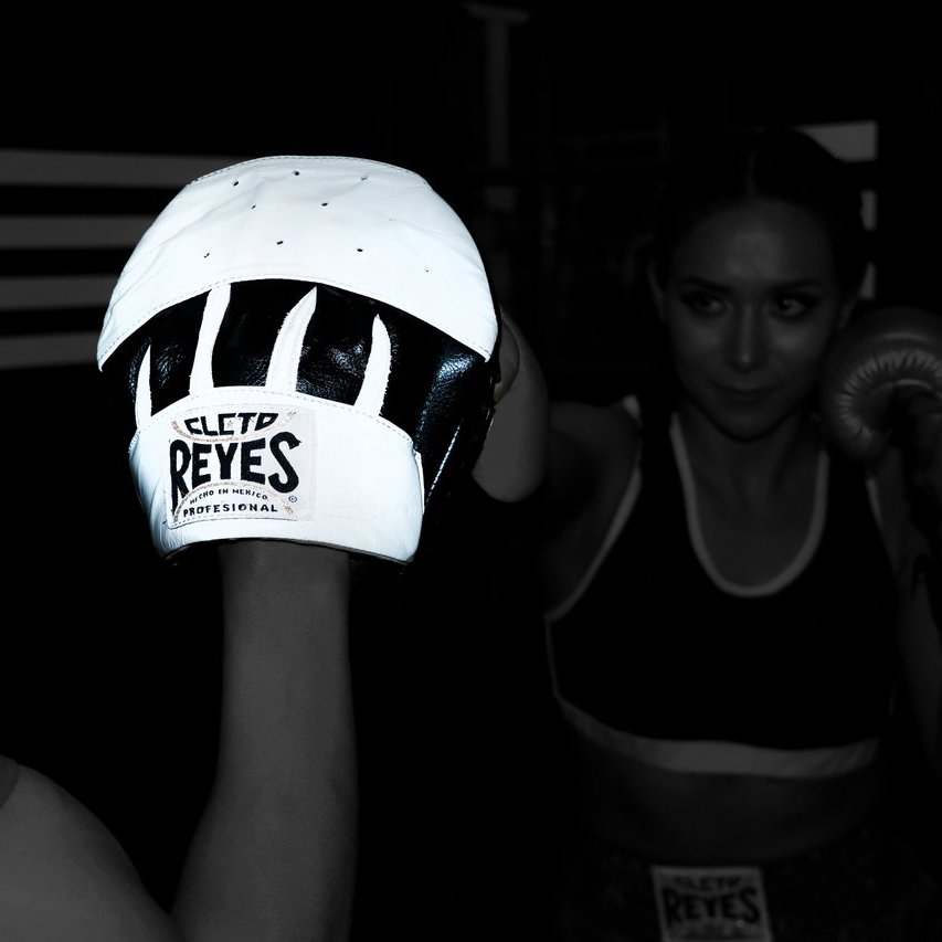 Cleto Reyes Curved Punch Mitts