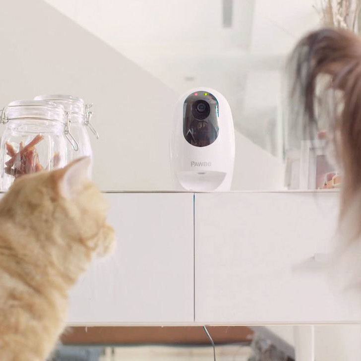 Pawbo Life Pet Camera & Treat Dispenser