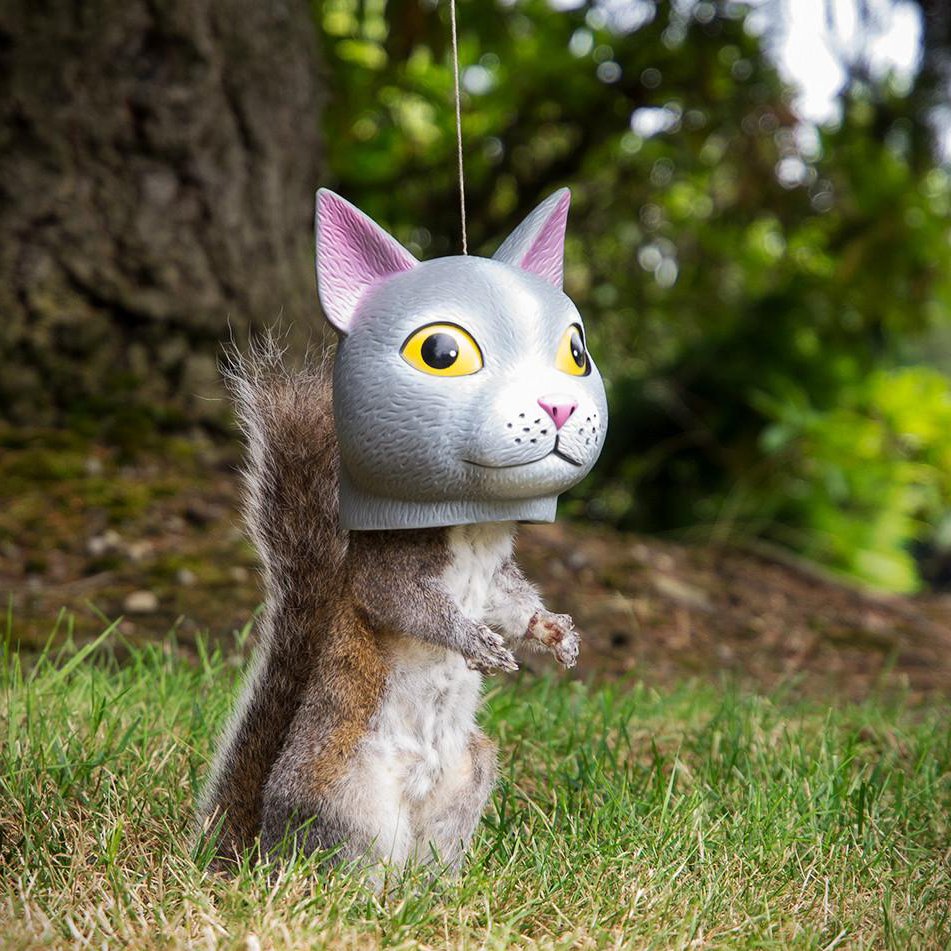 Cat Head Squirrel Feeder