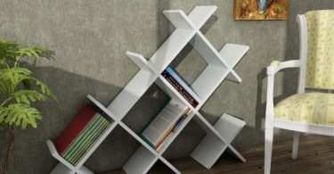 Belden Modern Bookcase