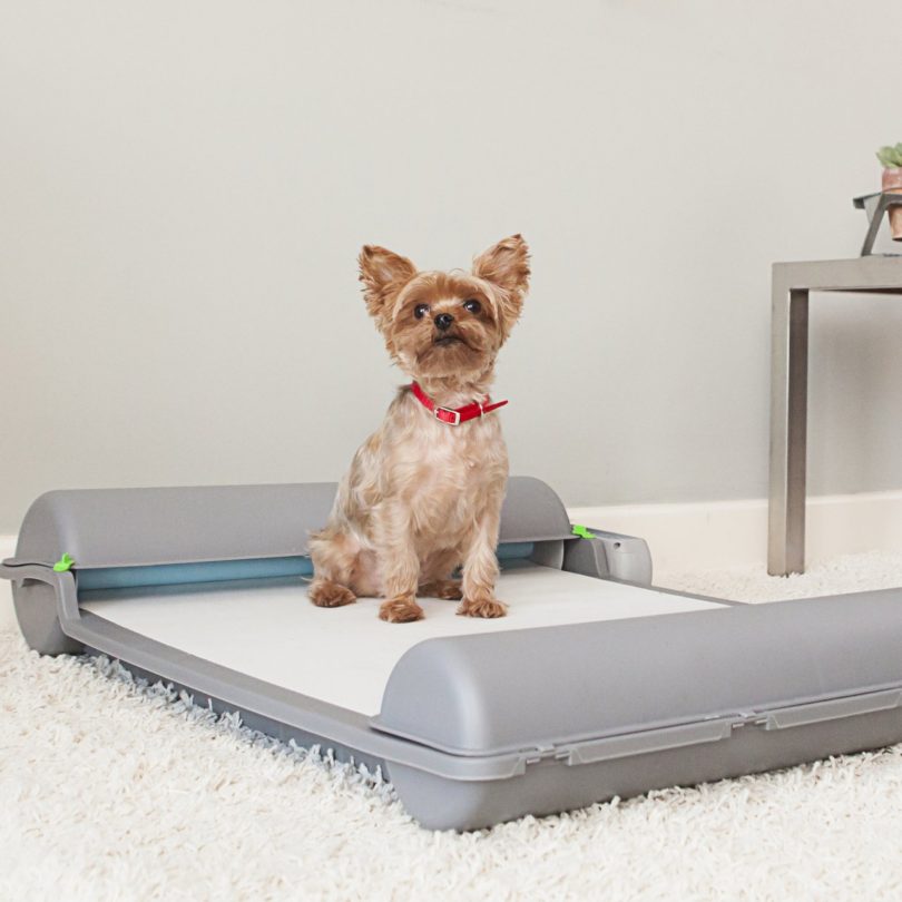 Brilliant Pad Self-Cleaning Automatic Indoor Dog Potty