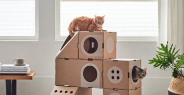 A Cat Thing Modular Cat House