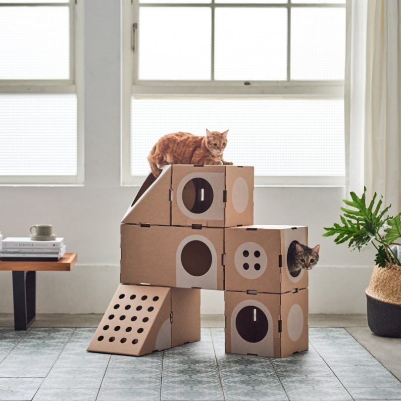 A Cat Thing Modular Cat House