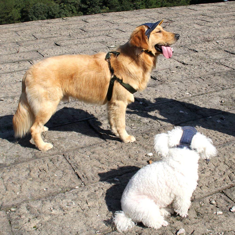 Doggie Baseball Cap