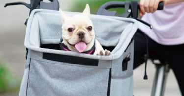 Pet Carrier Bicycle Basket Bag Pet Carrier/Booster Backpack For Dogs