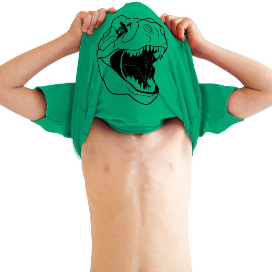 Youth Ask Me About My T-Rex Shirt