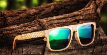 Earth Wood Whitehaven Polarized Sunglasses