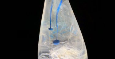 Water Drop LED Bulb