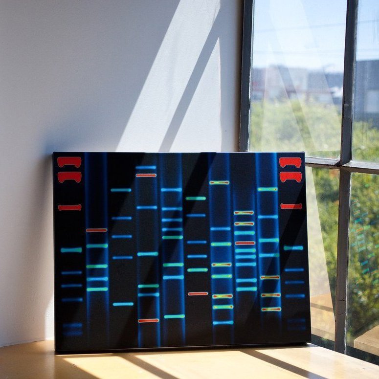 DNA Portrait