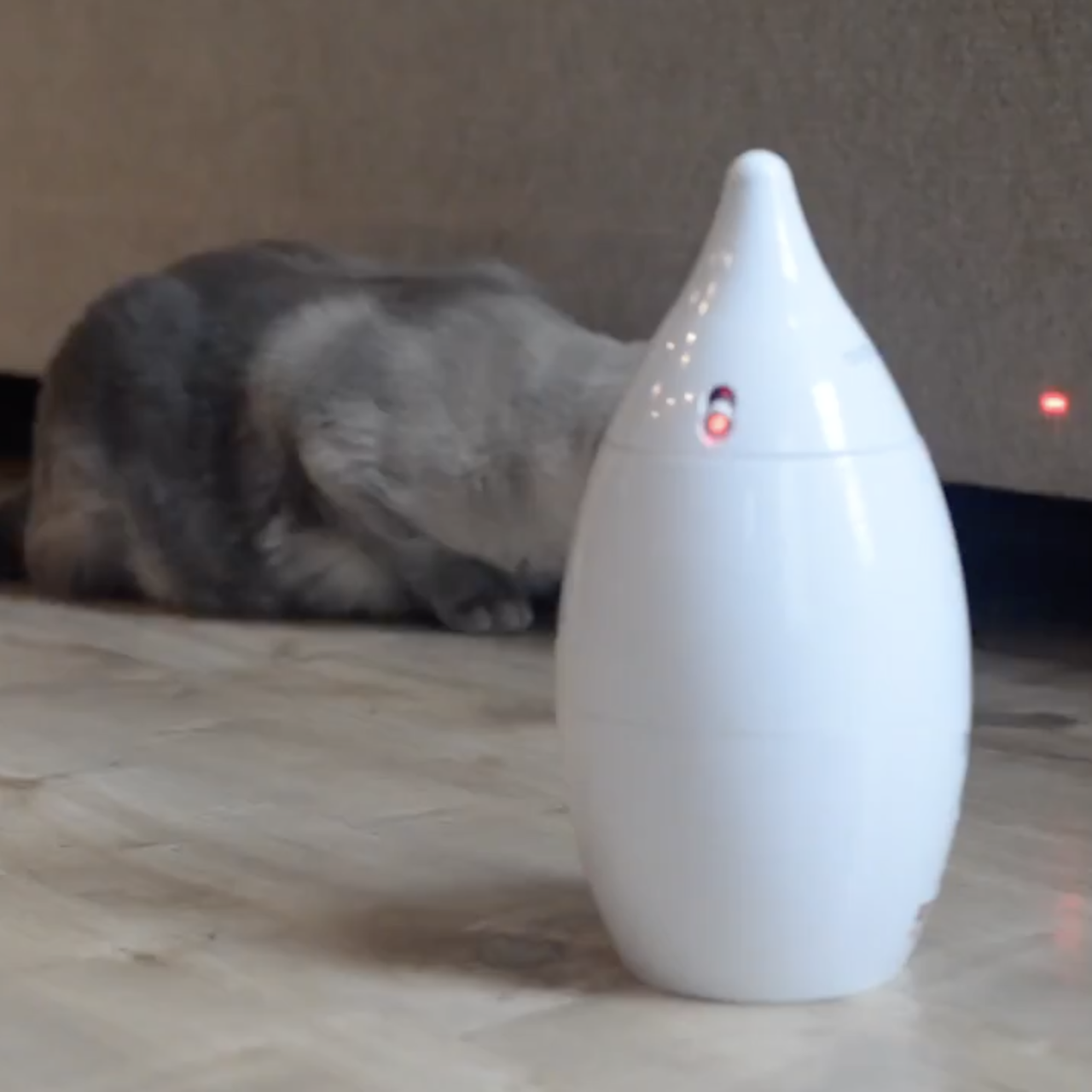 Zoom Rotating Laser Cat Toy