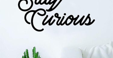 Stay Curious Wall Decal