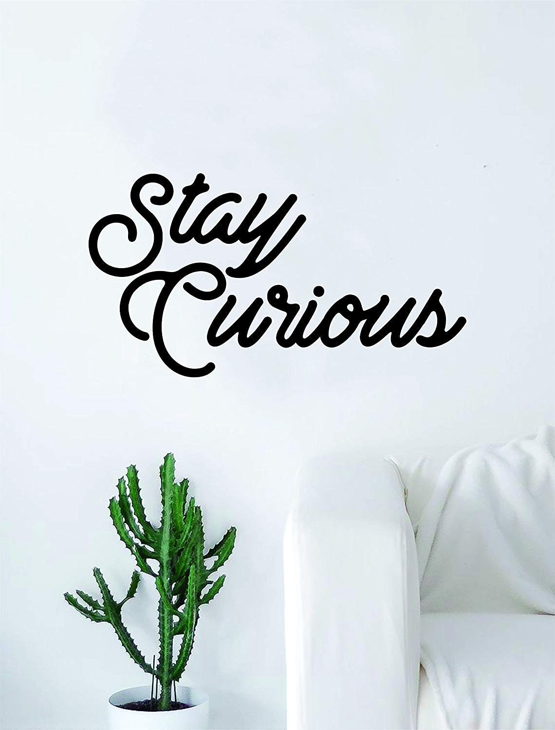 Stay Curious Wall Decal