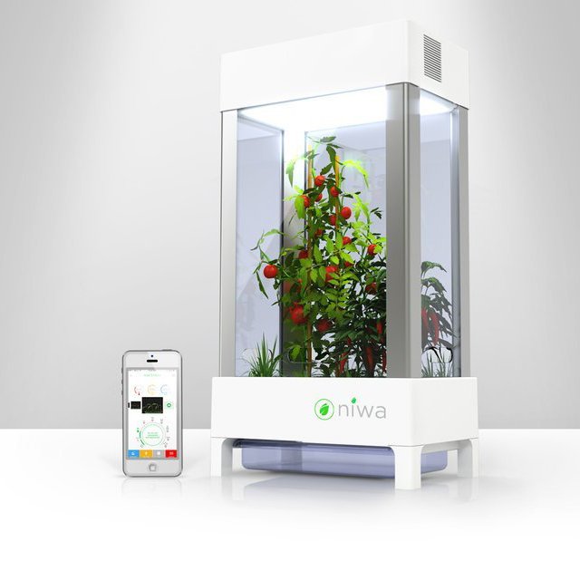 Niwa One Smart Indoor Garden