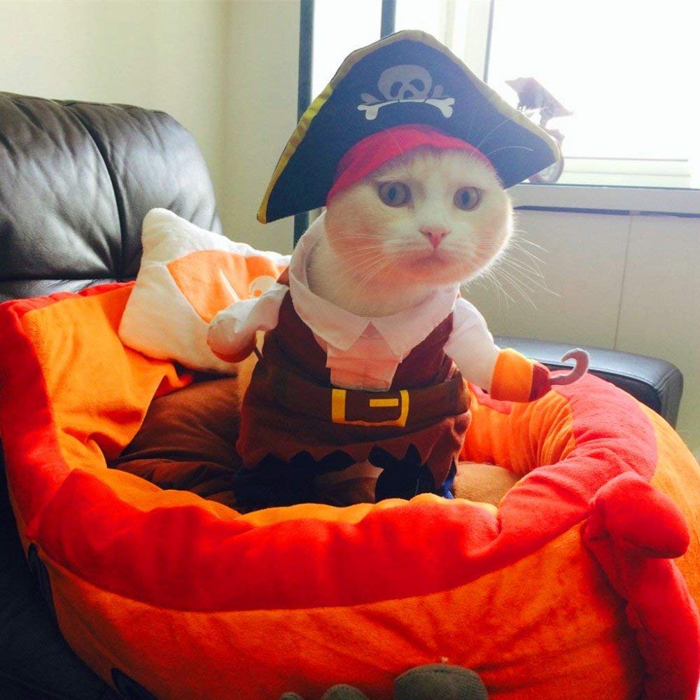 Pirate Dog Cat Costume