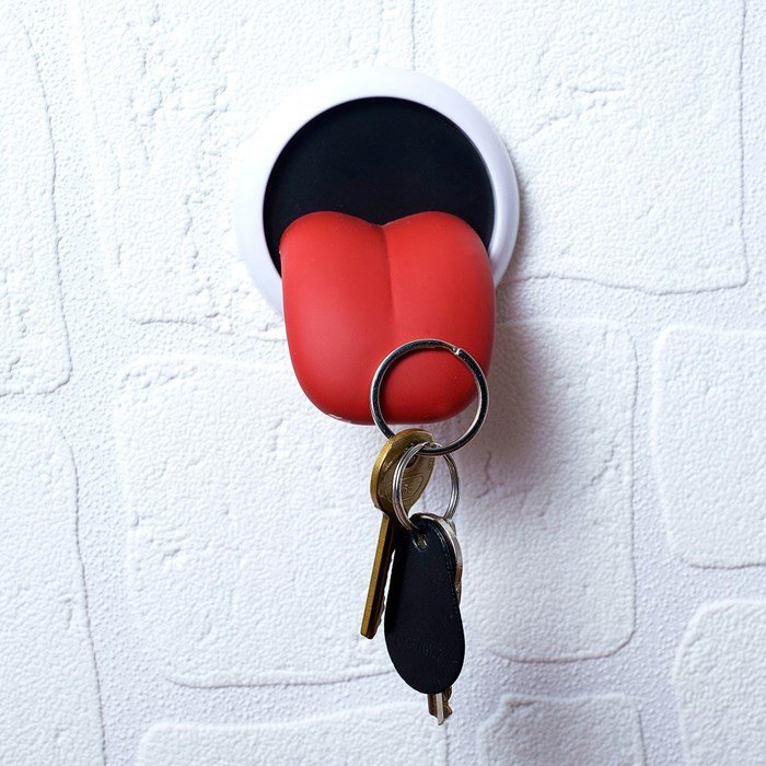 Tongue Key Magnet Holder