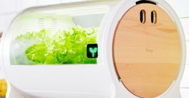 foop Lite Hydroponic Grow Box