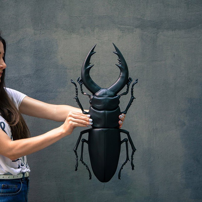 Faux Insect Taxidermy Black Beetle