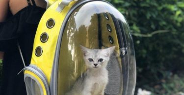 Pet Astronaut Capsule Backpack