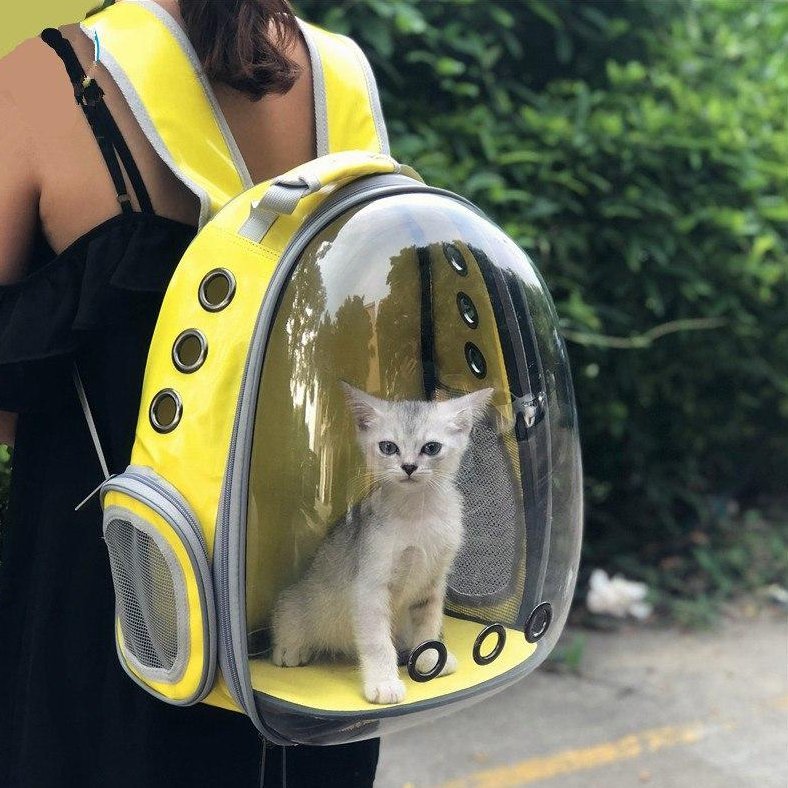 Pet Astronaut Capsule Backpack