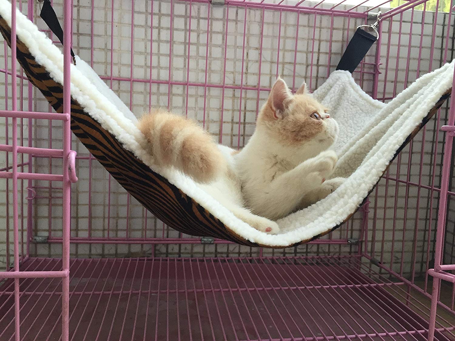 Cat Hammock